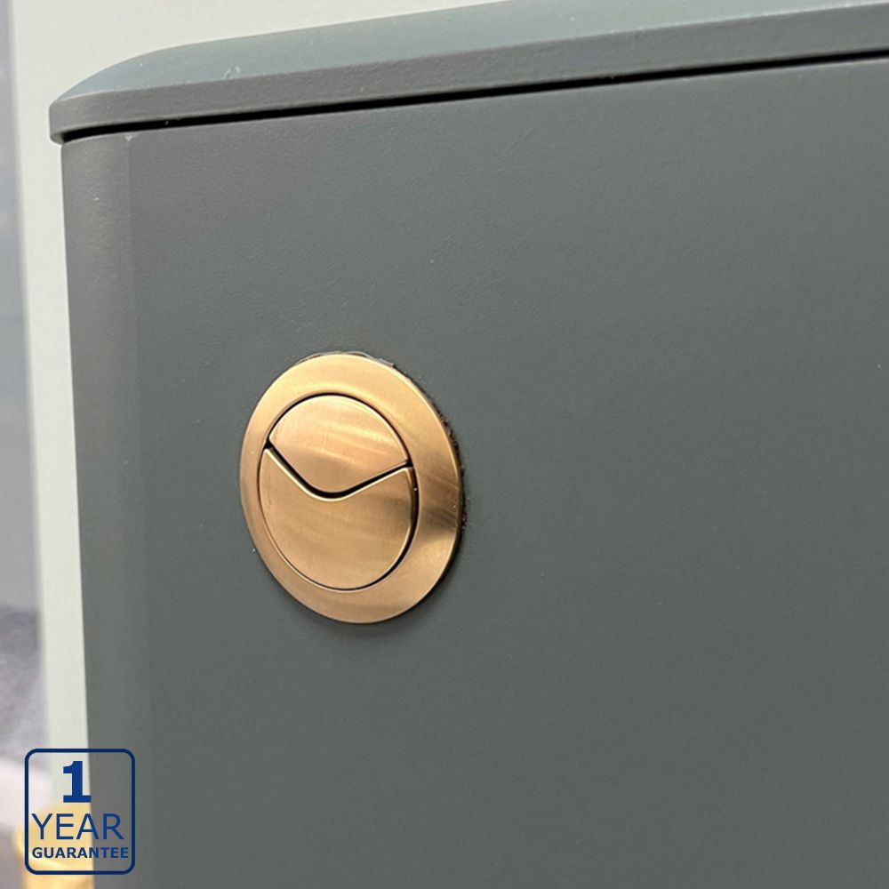 Serene Concealed Cistern Dual Push Button Cover Brushed Brass