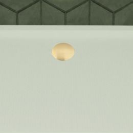 Roman Shower Tray Waste & Cover Cap - Brushed Brass